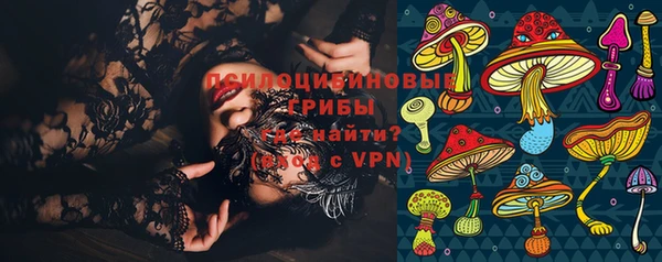 бошки Лабытнанги