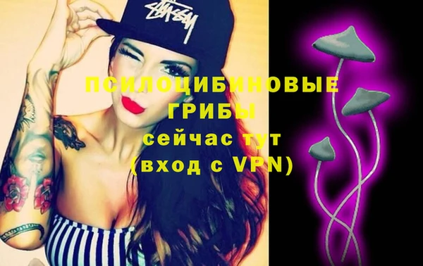 бошки Лабытнанги