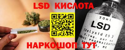 амф Гатчина