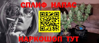 амф Гатчина
