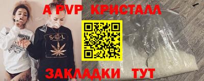 амф Гатчина