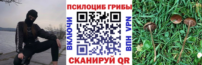 Псилоцибиновые грибы ЛСД  Луга 