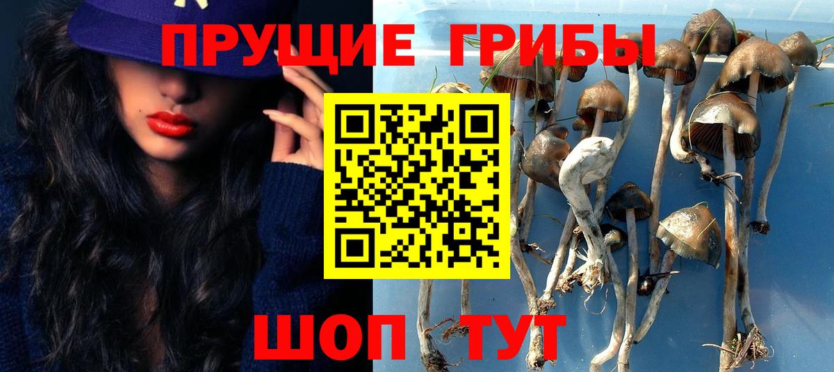 Луга  Галлюциногенные грибы Cubensis  даркнет сайт  Вход с VPN 
